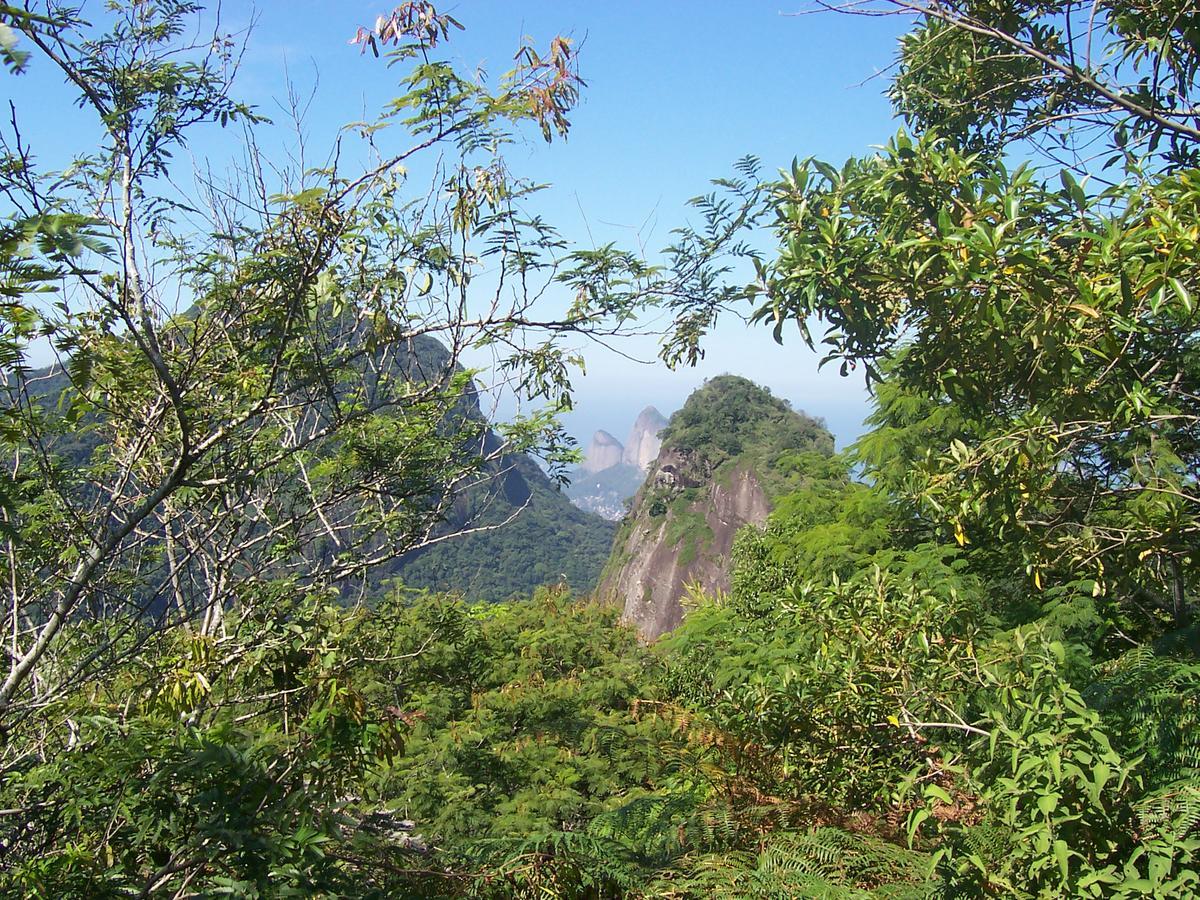 Casa Sao Conrado 호텔 리오데자네이루 외부 사진